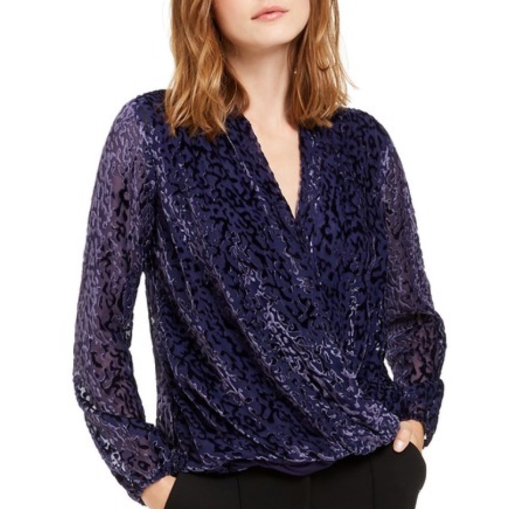Alfani | Burnout Velvet Sheer Mesh Wrap Draped Plunge Neck Blouse Deep Purple‎